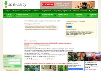 Снимок главной страницы asienda.ru