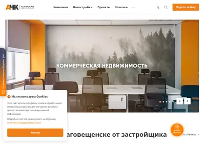 Снимок главной страницы anksk.ru