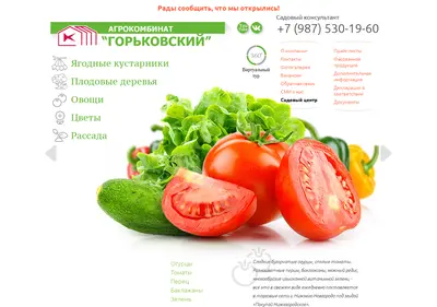Снимок главной страницы agrogorky.ru