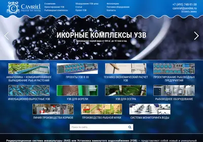 Снимок главной страницы camriel.ru