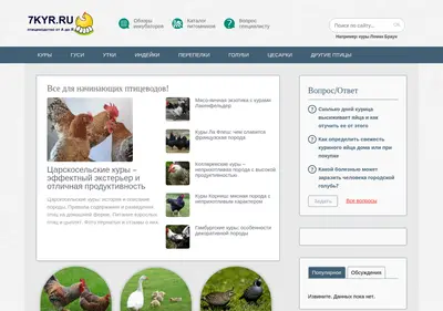 Снимок главной страницы 7kyr.ru