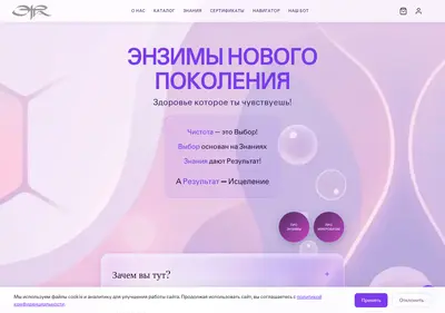 Снимок главной страницы etraproject.ru