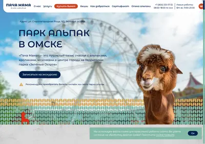 Снимок главной страницы alpakaomsk.ru