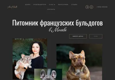 Снимок главной страницы artofbulls.ru