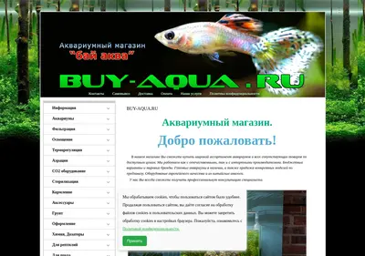 Снимок главной страницы buy-aqua.ru