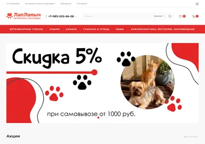 Снимок главной страницы lapych.ru