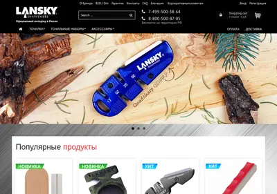 Снимок главной страницы cehfs.ru