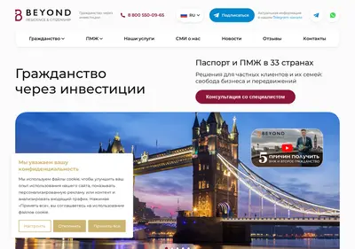 Снимок главной страницы beyondimmigration.ru