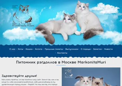 Снимок главной страницы beautyragdoll.ru