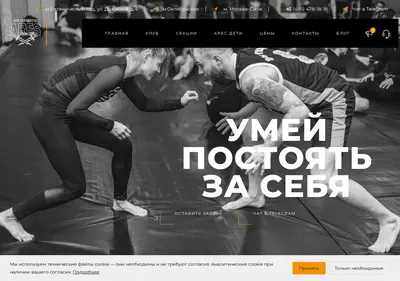 Снимок главной страницы aresfight.ru