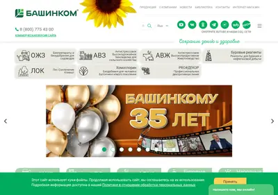 Снимок главной страницы bashinkom.ru