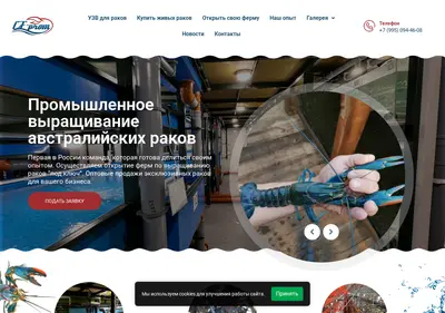 Снимок главной страницы cf-prom.ru