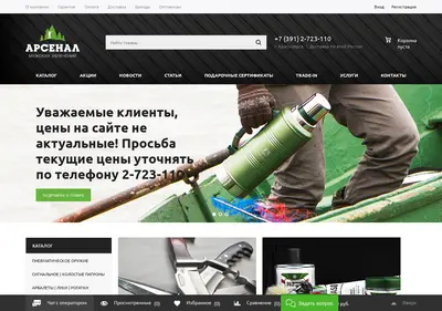 Снимок главной страницы 24ars.ru