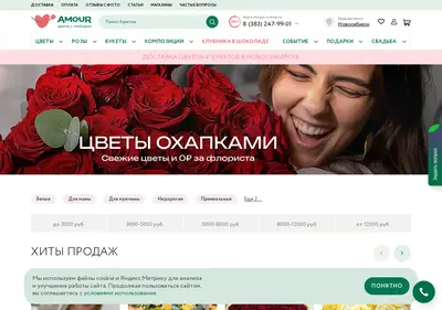 Снимок главной страницы amournsk.ru