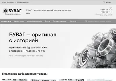 Снимок главной страницы buvag.ru