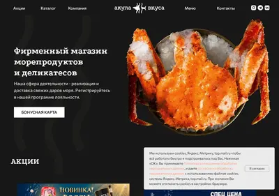 Снимок главной страницы akylavkysa.ru