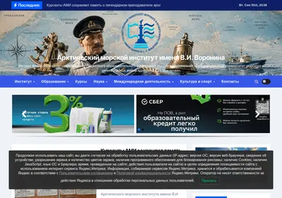 Снимок главной страницы ami-voronina.ru