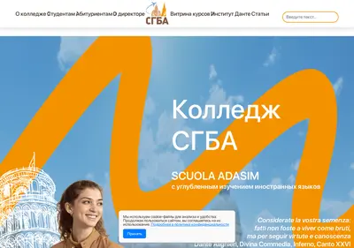 Снимок главной страницы academ063.ru