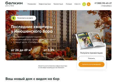 Снимок главной страницы belkin54.ru