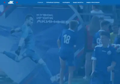 Снимок главной страницы akinfeev-cup.ru