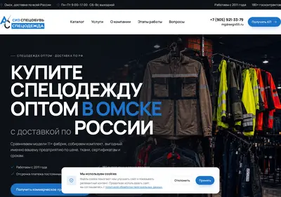 Снимок главной страницы aegis55.ru