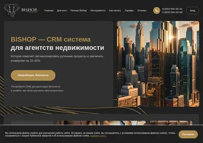 Снимок главной страницы bishopcrm.ru