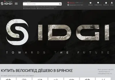 Снимок главной страницы bryanskvelo.ru