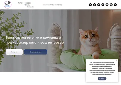Снимок главной страницы catstudio-shop.ru