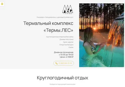 Снимок главной страницы термылес.рф