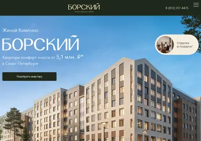 Снимок главной страницы borskyi.ru