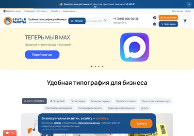 Снимок главной страницы bpilot.ru