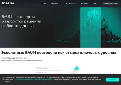 Снимок главной страницы baum.ru