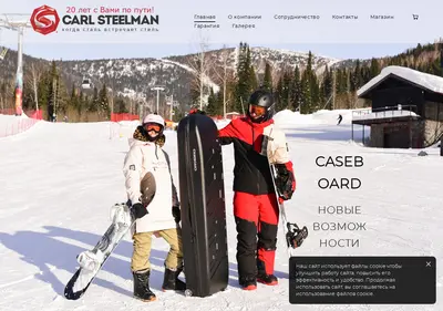 Снимок главной страницы carlsteelman.ru