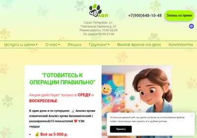 Снимок главной страницы 48lap.ru