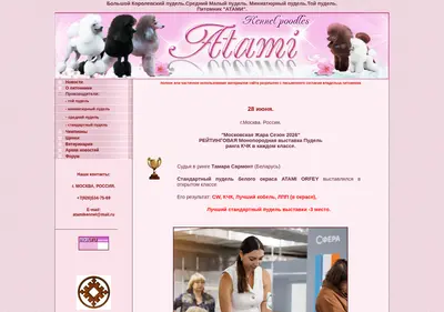 Снимок главной страницы atami.ru