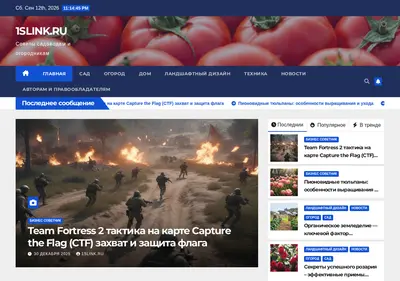 Снимок главной страницы 1slink.ru