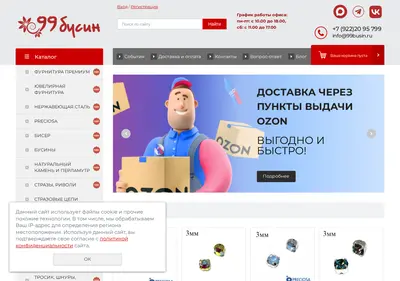 Снимок главной страницы 99busin.ru