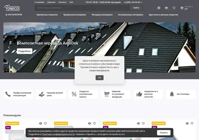 Снимок главной страницы toneco.su