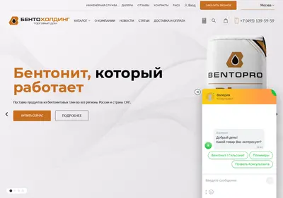 Снимок главной страницы bentoholding.ru