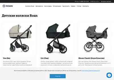 Снимок главной страницы roan.msk.ru
