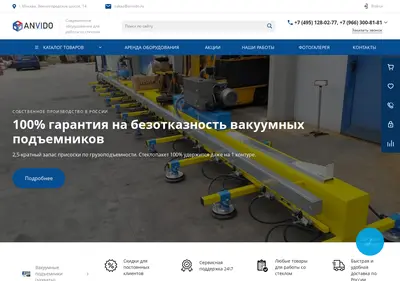 Снимок главной страницы anvido.ru