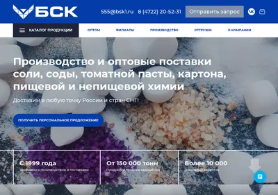 Снимок главной страницы bsksalt.ru
