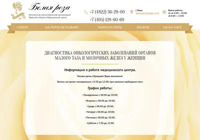 Снимок главной страницы br69.ru