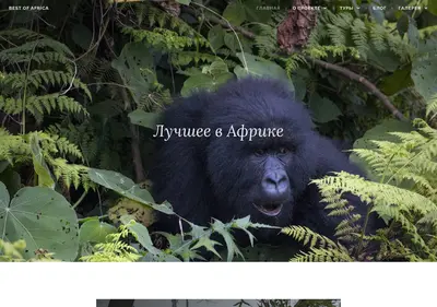Снимок главной страницы best-of-africa.ru