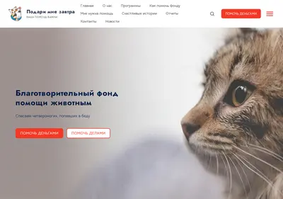 Снимок главной страницы blago-fondz.ru