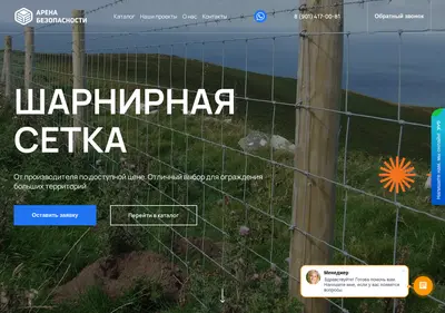 Снимок главной страницы arenab.ru
