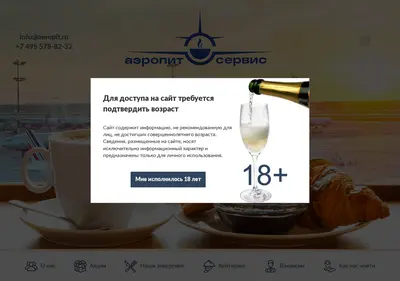 Снимок главной страницы aeropit.ru