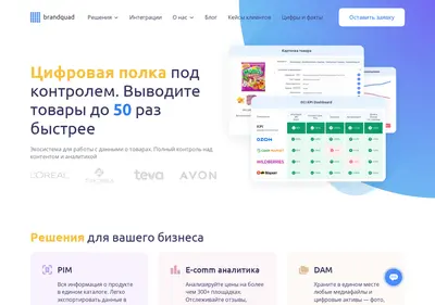 Снимок главной страницы brandquad.ru
