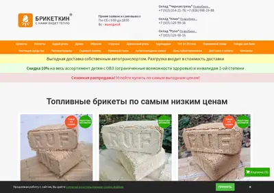 Снимок главной страницы briketkin.ru