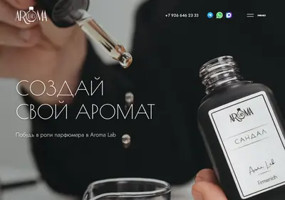 Снимок главной страницы aroma-lab.ru